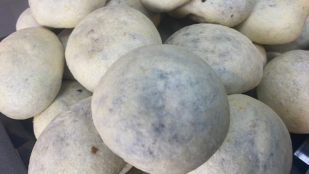 İzmir'in bombası Elazığ'a düştü