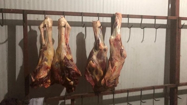 Jandarmadan yem fabrikasında ruhsatsız et üretimine baskın