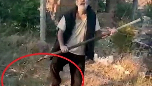 Kan donduran vahşet: Yavru köpeği dirgenle öldürdü