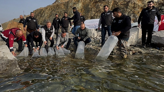 Karakaya Baraj Gölü'ne 420 Bin Yavru Balık Bırakıldı