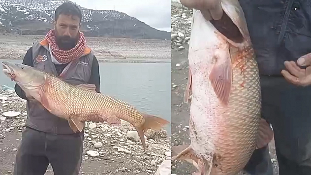 Karakoçan'da Dev Av: 20 Kiloluk Turna Balığı Yakalandı!