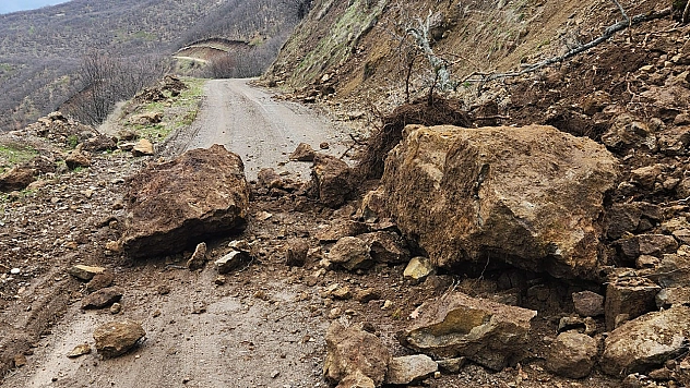 Karakoçan'da facia!