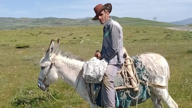 Karakoçan'da Kaybolan Eşeğini Bulana 5 Bin Lira Ödül