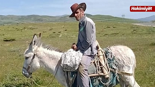 Karakoçan'da kaybolan eşek bu kez satış ilanında ortaya çıktı: Sahibi çaresiz
