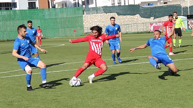 Karakoçlar, komşuya gidiyor