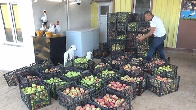 Kasalarca elmayı tepki için ücretsiz dağıttı