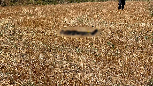 Kayıp olan adamın cesedi 15 gün sonra bulundu