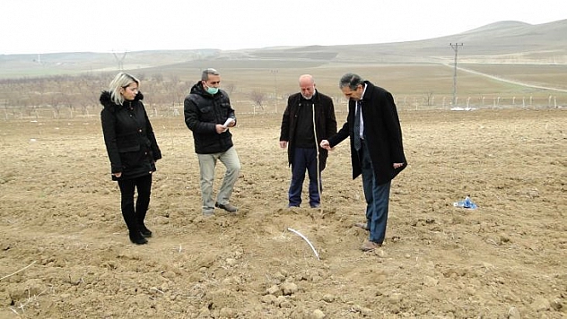 Kayısı fidanı üretimi 3 kat arttı