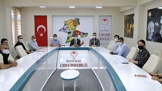 Kayısıda tahmini rekolte 2 haftada belirlenecek