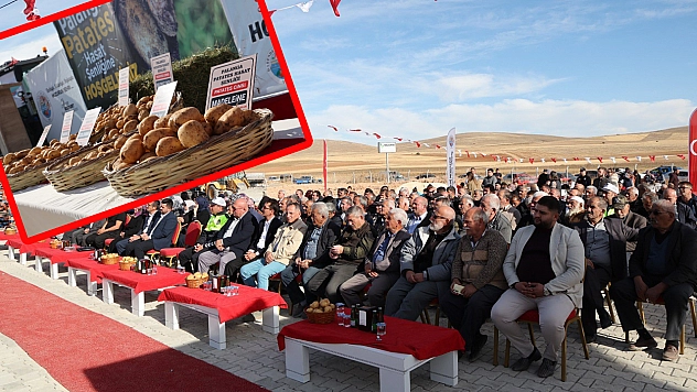 Kayısıdan sonra şimdi de patates! Malatya'da ilk tohum şenliği