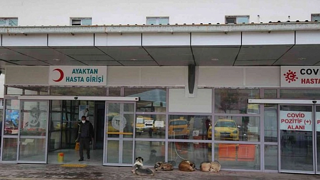 Kaymakamın koruma aracı kaza yaptı: 4 yaralı