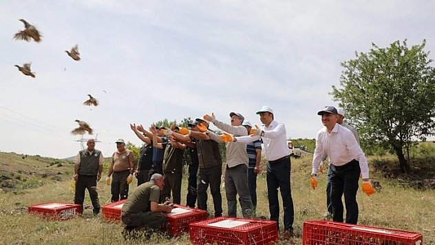 Keban'da 500 Keklik Doğaya Salındı