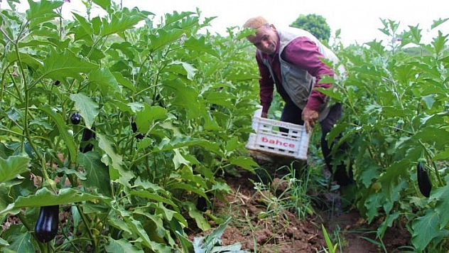 Kendi ektiği sebzeleri 15 yıldır yol kenarındaki tezgahında satıyor