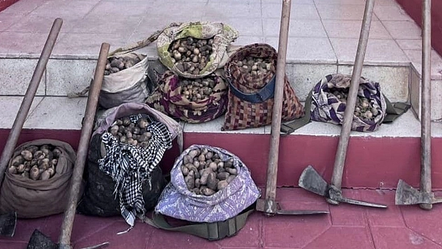 Kesilen Ceza Tutarı Şok Etti ama Yine de Vazgeçmiyorlar