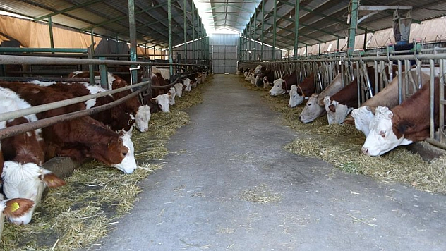 Kimya Öğretmeninin Yeni Mesleği Görenlere İlham Verdi