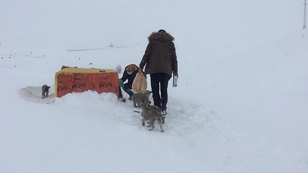Kış gününde içleri ısıtan, insanlık ölmemiş dedirten davranış