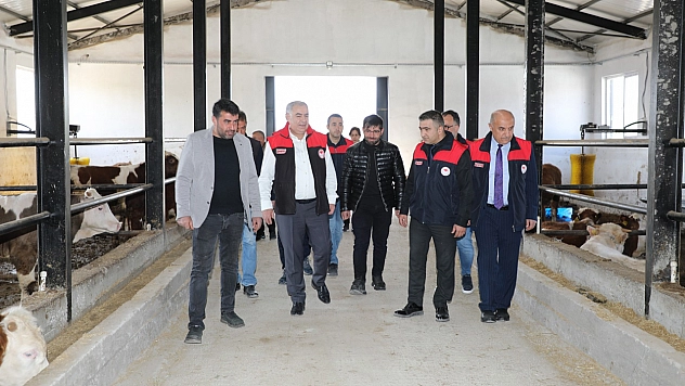 KKYDP desteğiyle Kovancılar'da yeni besi işletmesi hizmete girdi