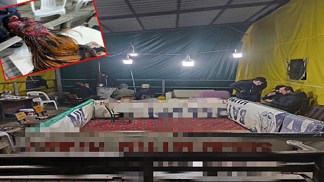 Komşuda Horoz Dövüşü Baskını!  Böyle Yakalandılar