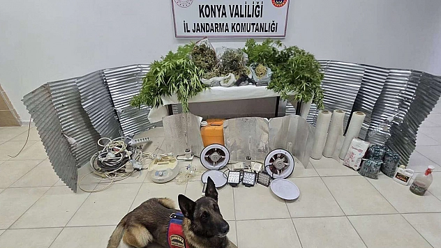 Konya'da jandarmadan uyuşturucu operasyonu: 6 kişi tutuklandı