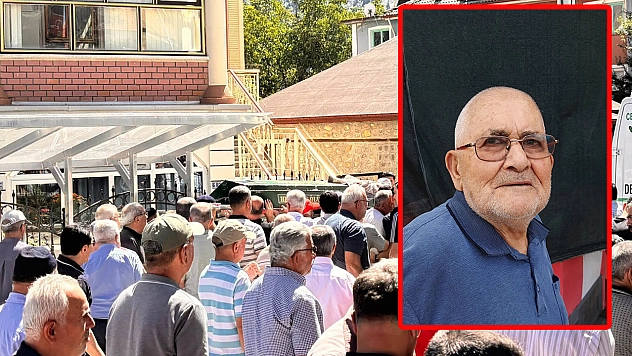 Konya'da kaskına arı girdi, faciaya yol açtı: Ölü ve yaralı var