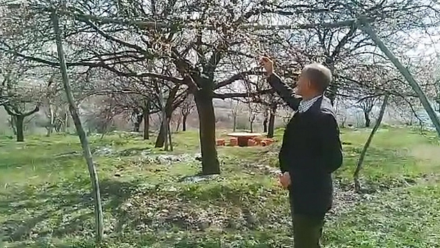 Korkulan Oldu, Kayısıyı Don Vurdu!