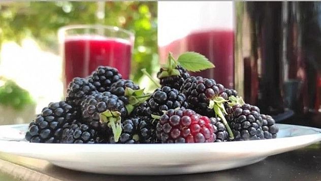 Köylülerin böğürtlen reçeli mesaisi