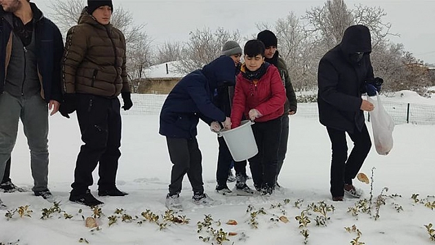 Kur'an Kursu Öğrencileri Sokak Hayvanları İçin Yem Bıraktı