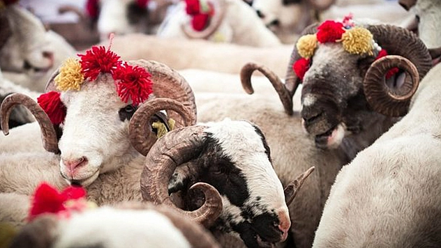 Kurban Bayramı Tatili Kaç Gün Olacak?