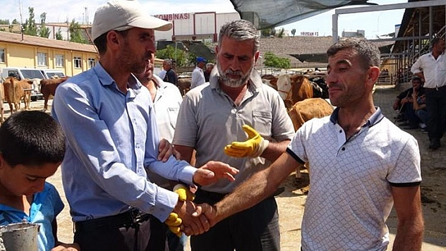 Kurban pazarında pazarlıklar kızıştı