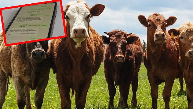 Kurbanlık alacaklar dikkat! Dolandırıcıların yeni yöntemi ortaya çıktı