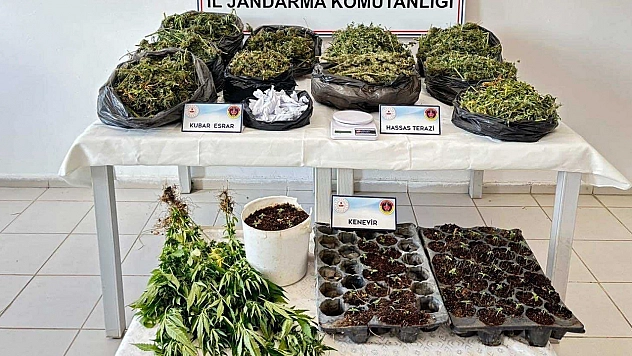 Malatya'da 5 şahıs tutuklandı