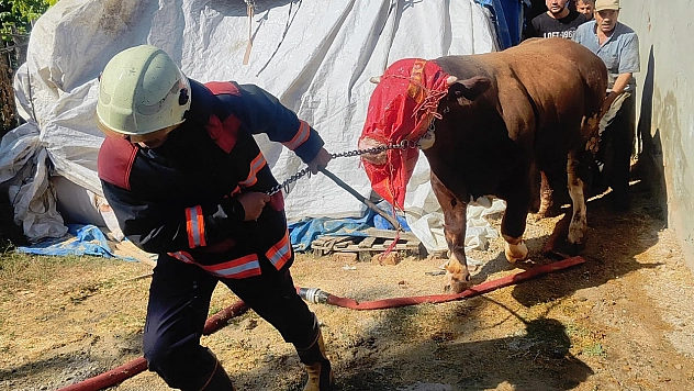Malatya'da ahır yangını korkuttu