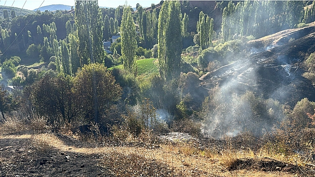 Malatya'da bahçe yangını korkuttu