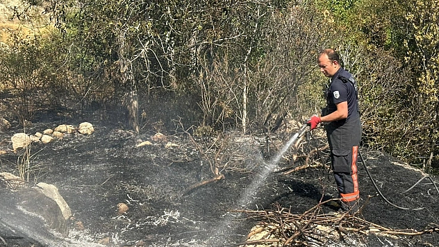 Malatya'da bahçe yangını!