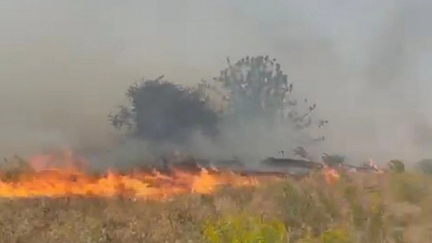 Malatya'da bahçe yangını