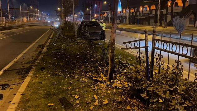 Malatya'da başıboş köpek kazaya neden oldu: Sürücü yaralandı