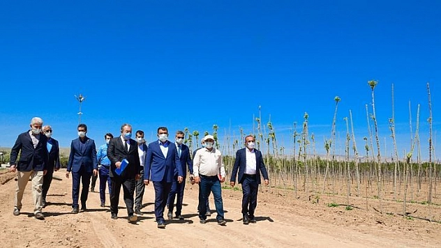 Malatya'da fidan üretim merkezi kurdu