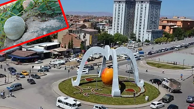 Malatya'da kayısı üreticileri alternatif ürünlerle gelir sağlıyor
