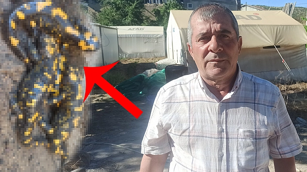 Malatya'da Kayısı Üreticisi Çiftçi Adam, Bahçesindeki havuza Bakınca Gözlerine İnanamadı Tam 8 Tane Hayvan Yan Yana Orada Duruyordu