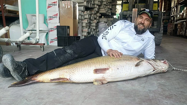 Malatya'da oltaya insan boyunda balık takıldı