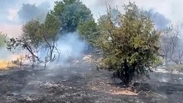 Malatya'da orman yangını