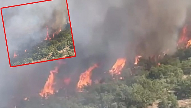 Malatya'da orman yangını