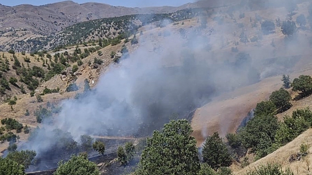Malatya'da orman yangını