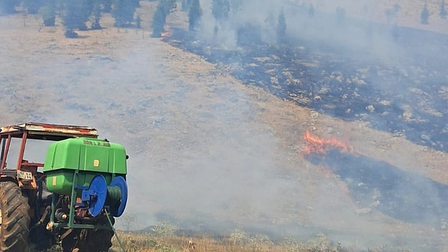 Malatya'da ormanlık alanda yangın