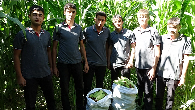 Malatya'da Tarım Lisesi öğrencilerinin meslek eğitiminde mısır hasadı