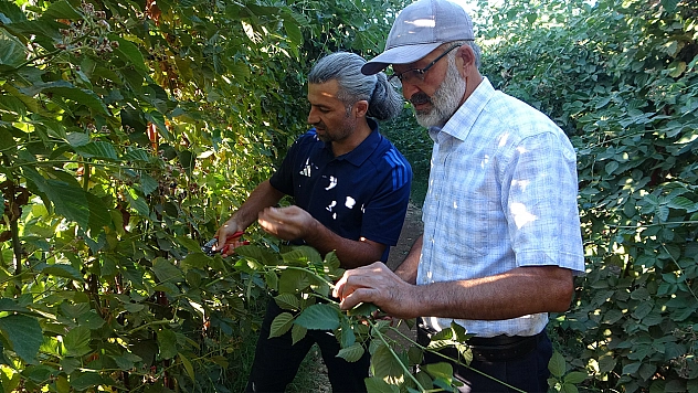 Malatya'da tarımsal üretimde çeşitlilik: Yeni projelerle üreticiye destek