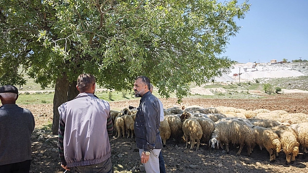 Malatya'da yetiştiriciler yayla yoluna çıktı