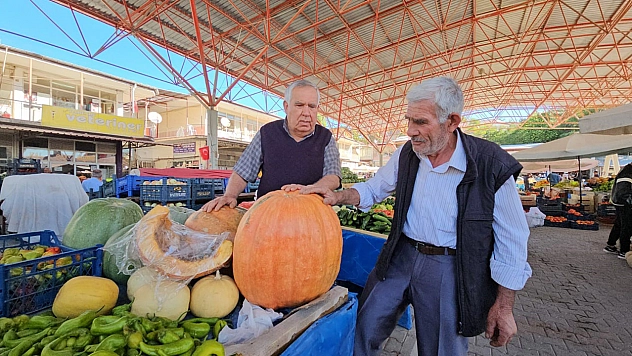 Malatya'da yetiştirilen bal kabağına yoğun ilgi