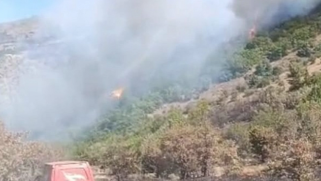 Malatya'daki orman yangını söndürüldü