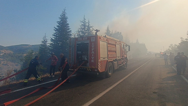 Malatya'daki orman yangınına havadan ve karadan müdahale sürüyor